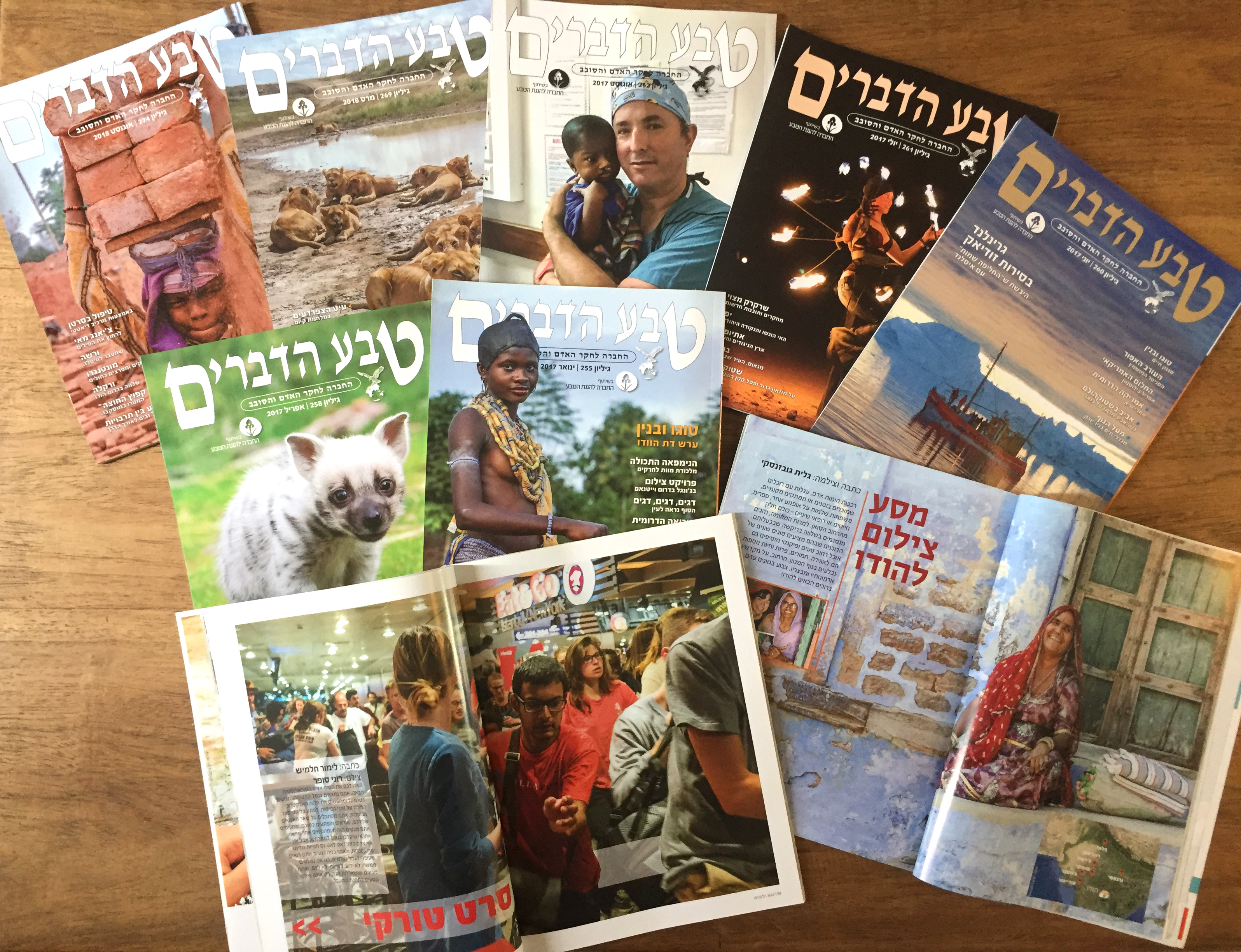 Entry 243455 in Portfolio by מיכל עיצוב גרפי