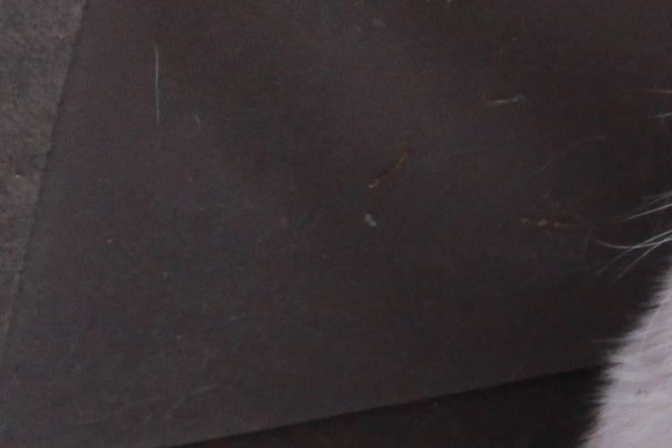 Open Zoomed Related Entry 811594_36222b77e33f47cebd4557d2dbeceae8.jpg