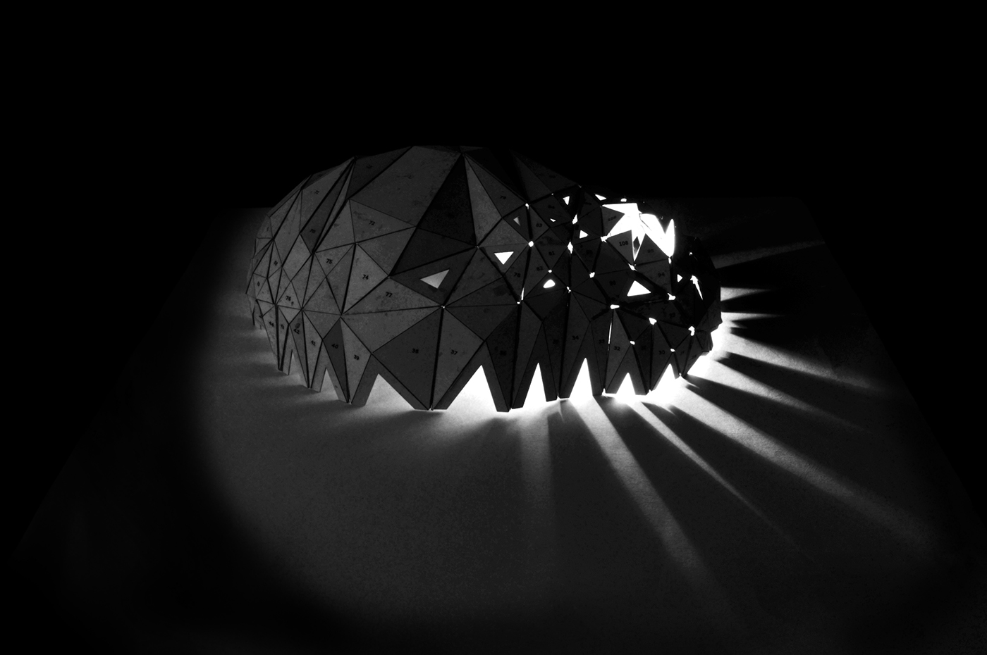 Entry 139023 in Experimental paper structure by אריאל ואיה - מעצב תעשייתי