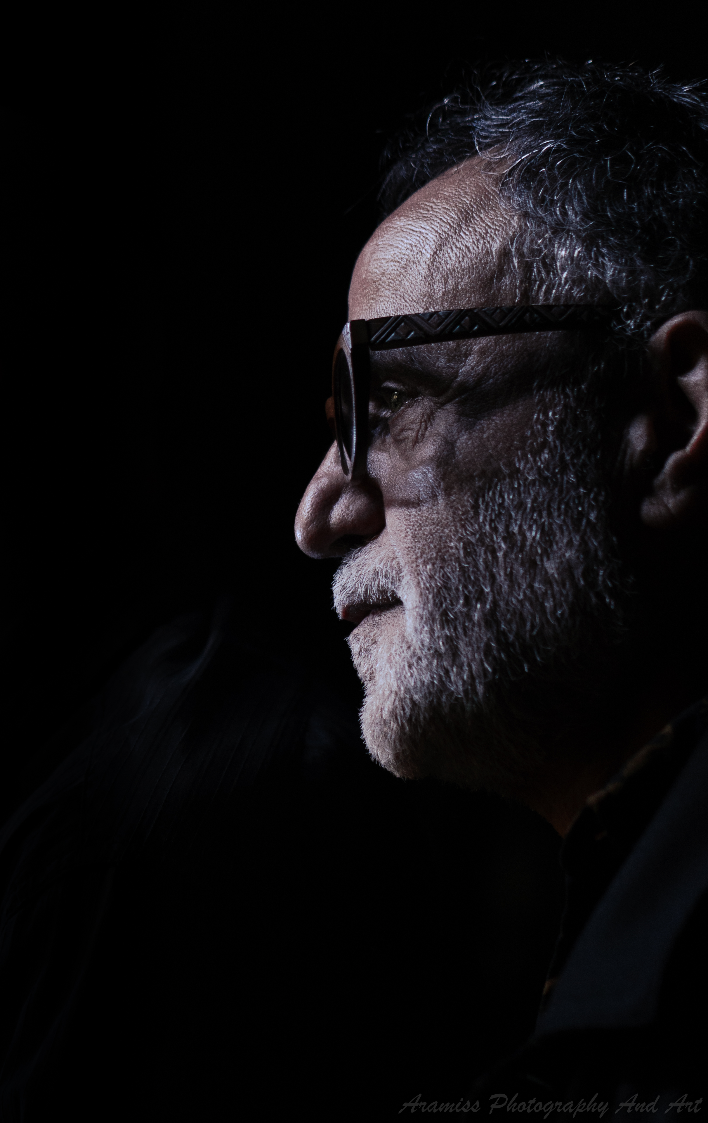 Entry 330559 in Portfolio by Aramiss Photography and Art