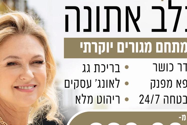 Open Zoomed Related Entry עיצוב פוסט