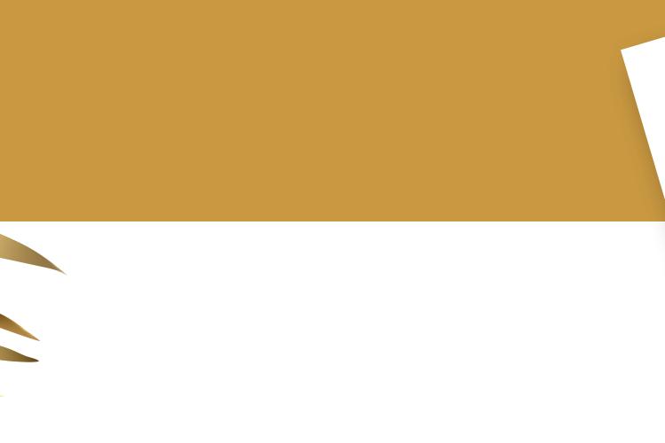 Open Zoomed Related Entry WIN FEED PAZZEL.png