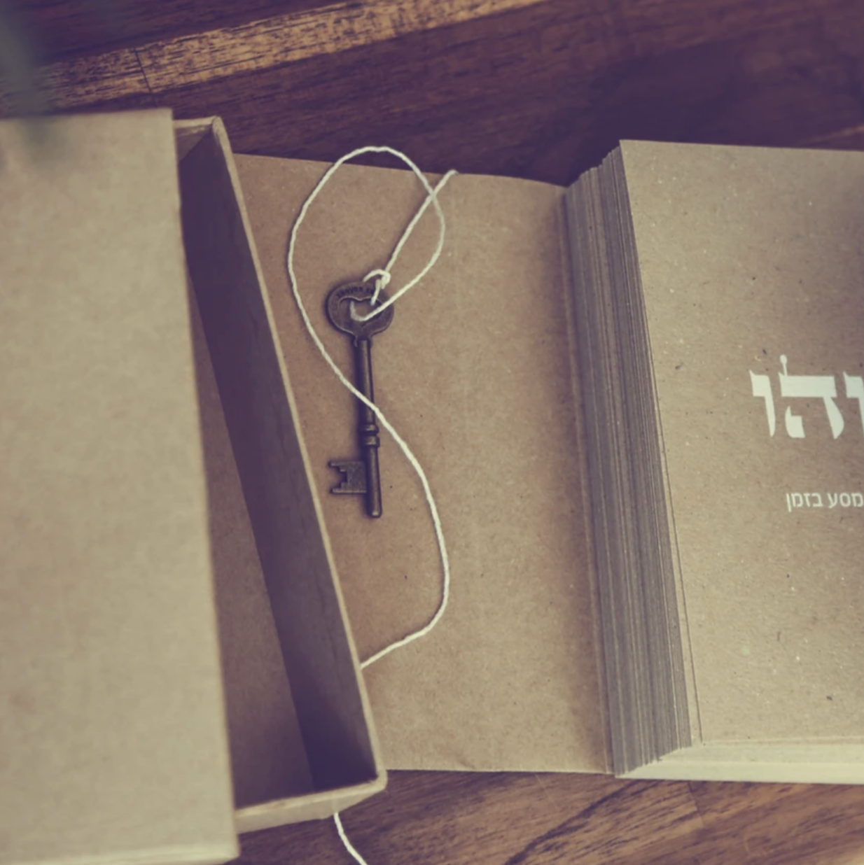 Entry 318055 in Portfolio by Miri Biton