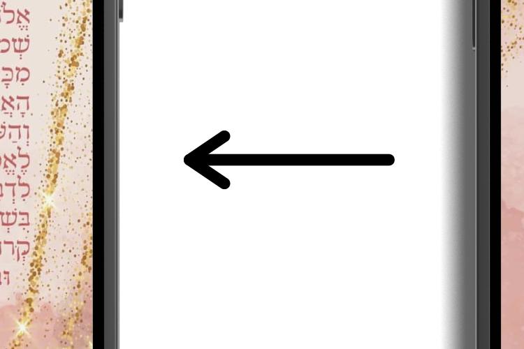 Open Zoomed Related Entry JAL1.png