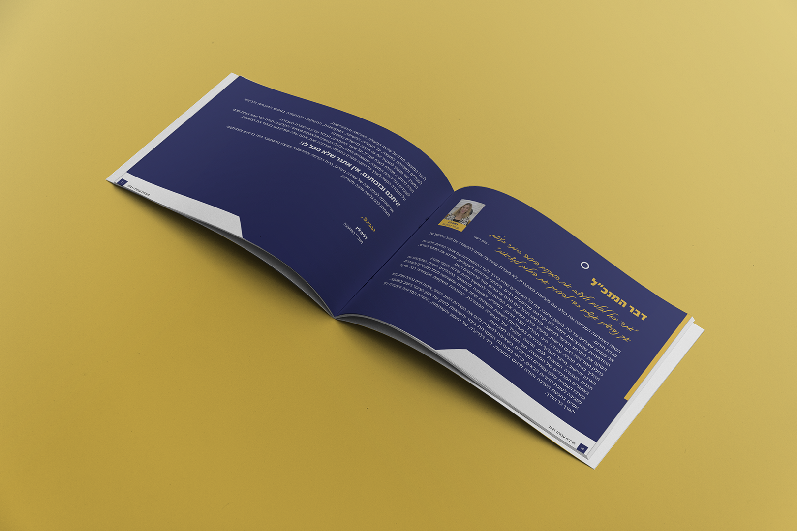 Entry 270793 in Portfolio by Laruna Creative