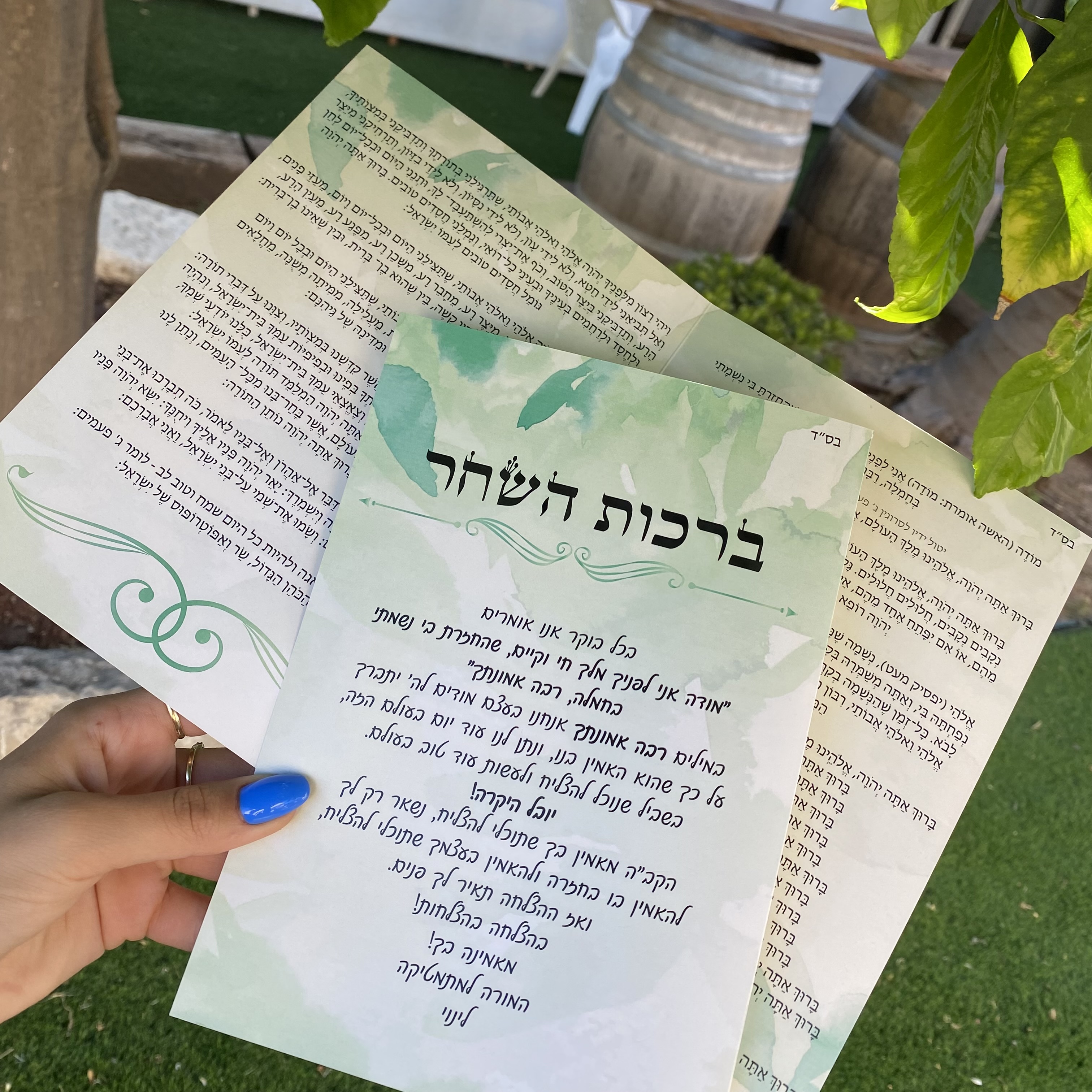 Entry 312952 in Portfolio by עדי ראוי עיצוב גרפי