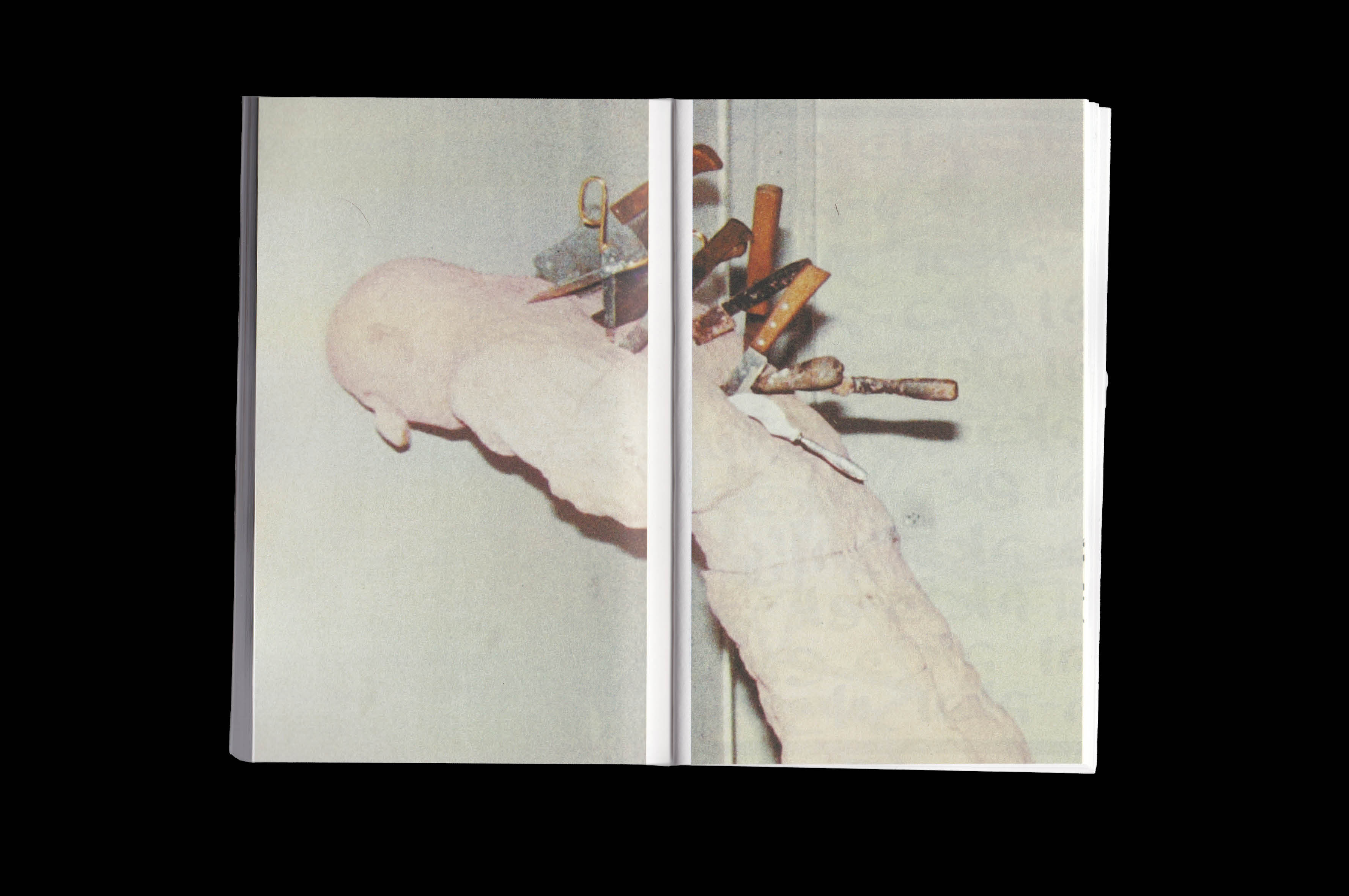 Entry 342472 in Portfolio by ש.פ.ג עיצוב גרפי