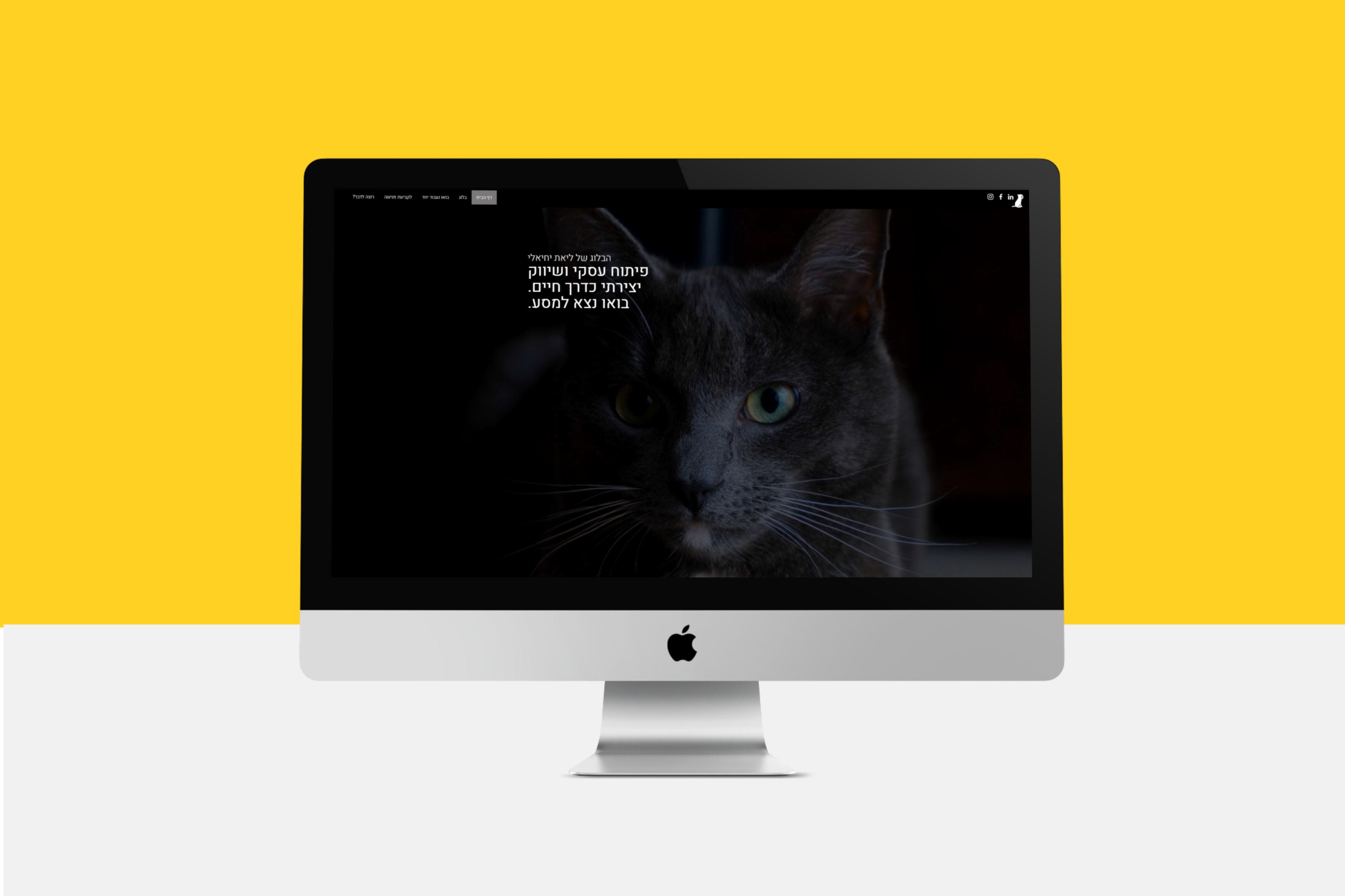 Entry 304266 in Portfolio by studio agulot
