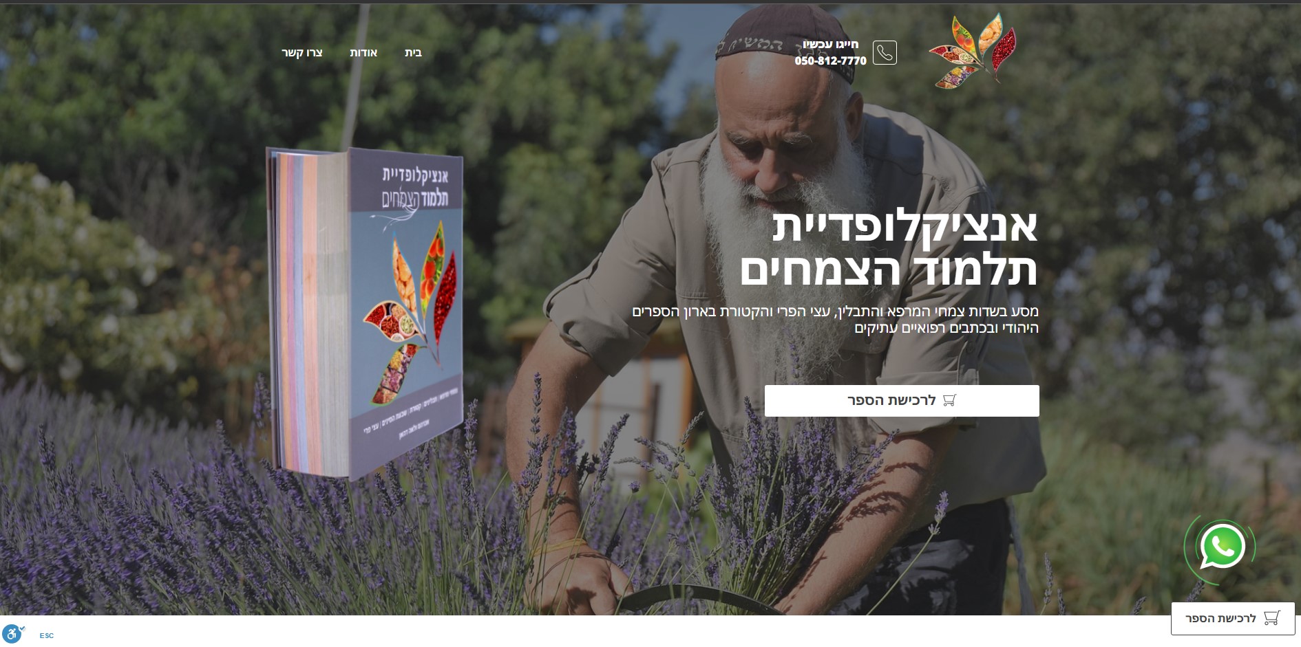 Entry 274694 in Portfolio by Naor Ben Shushan | Webbed