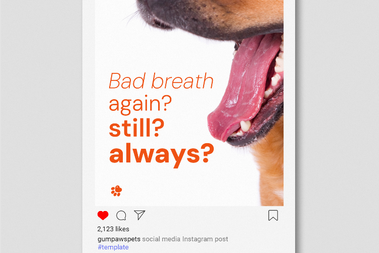 Open Zoomed Related Entry SOCIAL_1.png