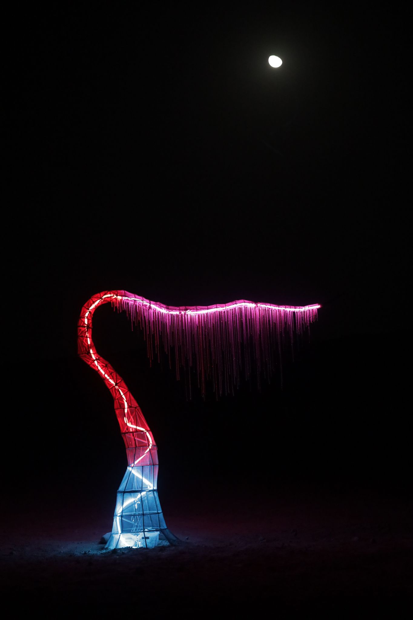 Entry 320127 in Portfolio by Talia Moses