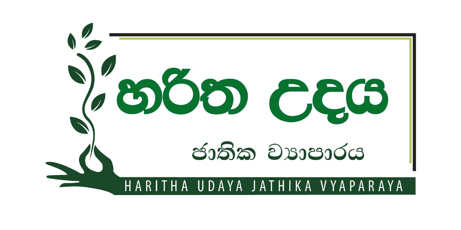 Entry 198221 in Portfolio by Dakshitha Amarasekara