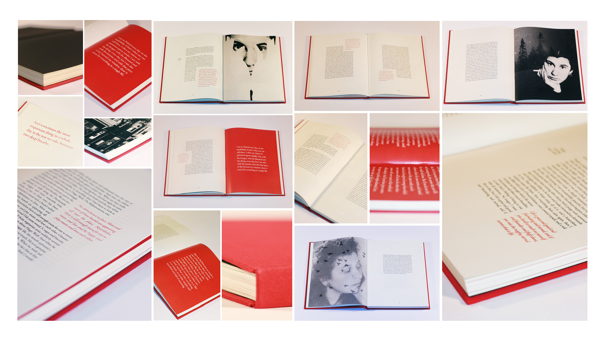 Entry 84884 in Portfolio by Ariella Goldman, The Design Tale