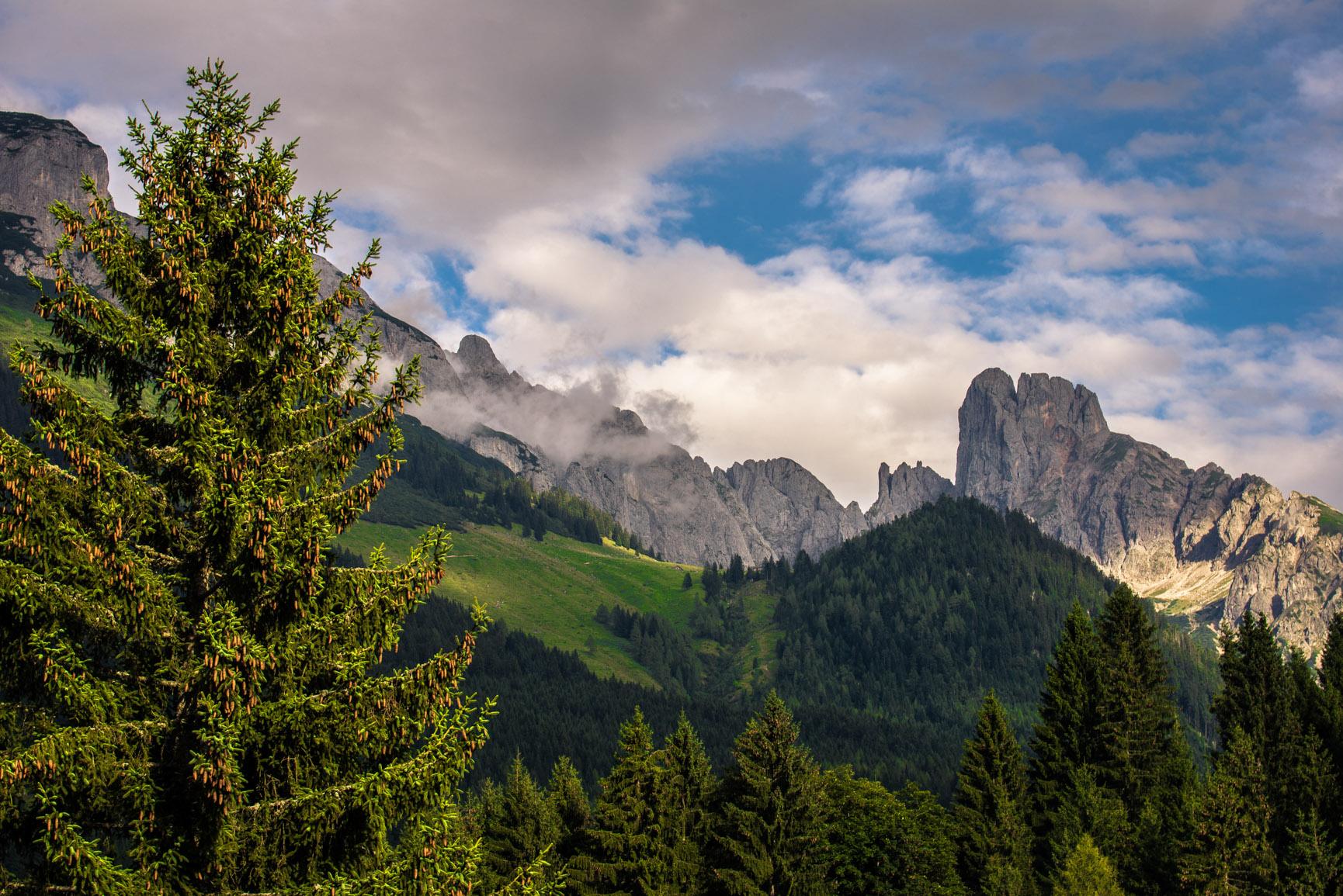 Entry 121382 in Landscapes by Ron Stollman Photography