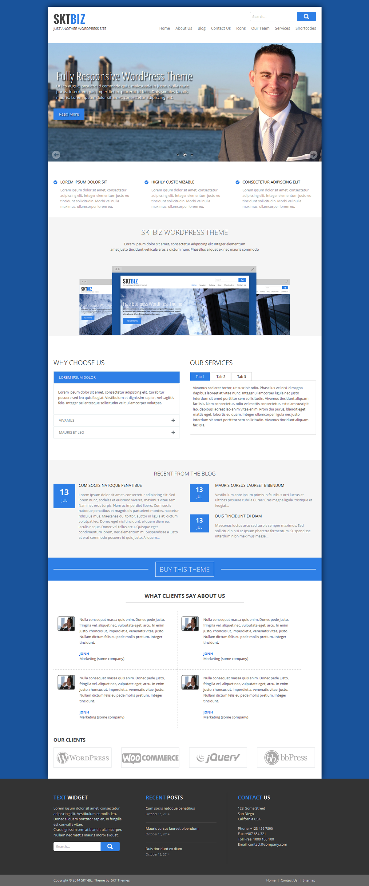 Entry 182569 in SKT Biz WordPress Theme by SKT Themes