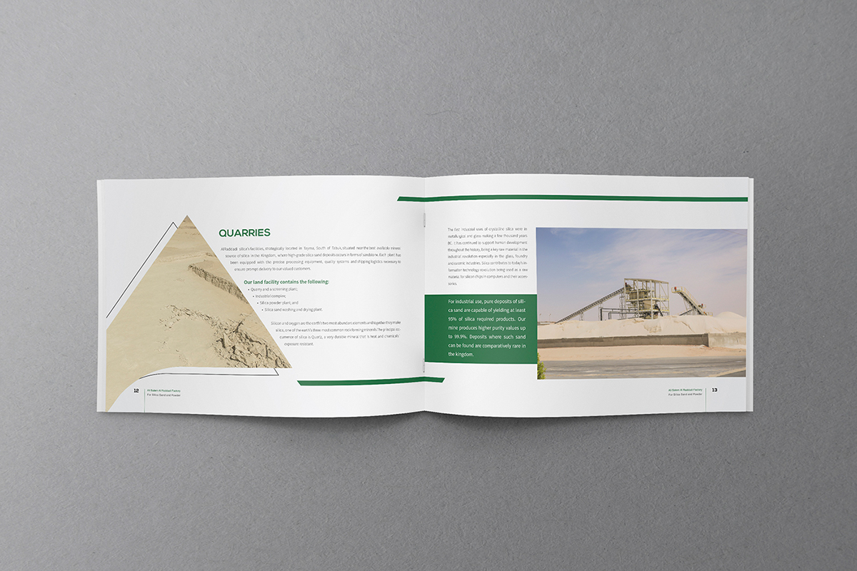 Entry 143272 in Brand Package For Al Raddadi Group by Haweya company