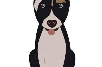 Dogs are Life thumbnail