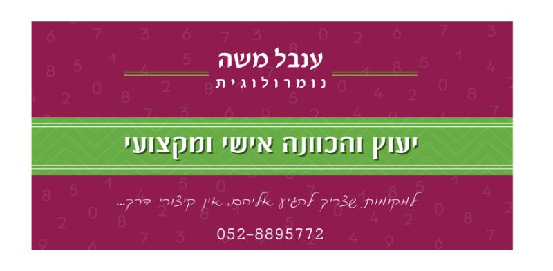 Entry 50522 in Portfolio by סטודיו טריקולור