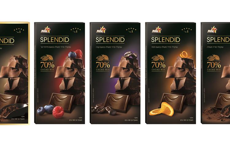 Open Zoomed Related Entry strauss elit chocolate 3 copy.jpg