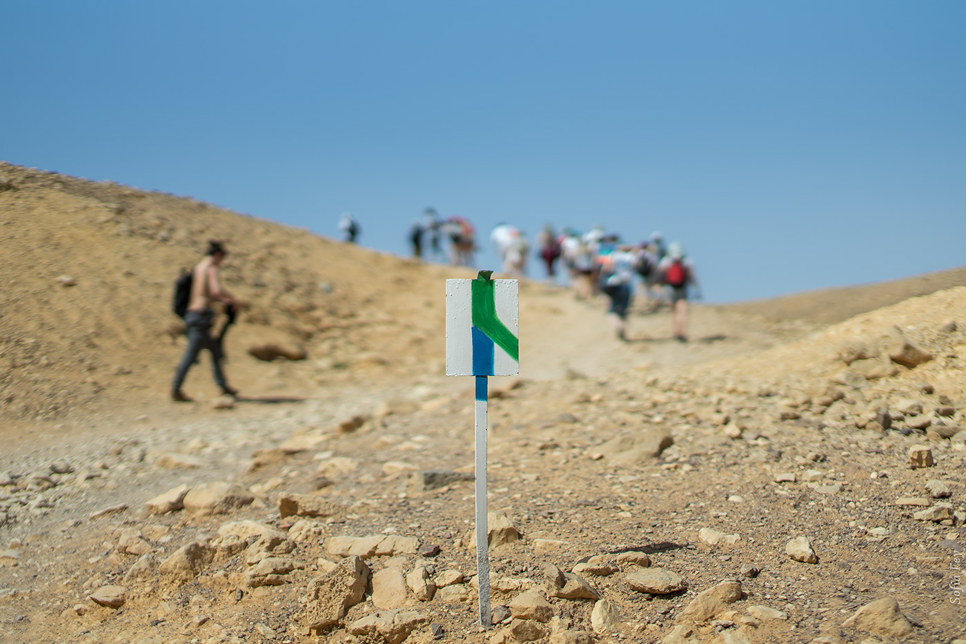 Entry 200014 in 10 days in Israel by Sofia Feiguelman