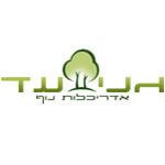 Open Zoomed Related Entry גני עד אדריכלות נוף