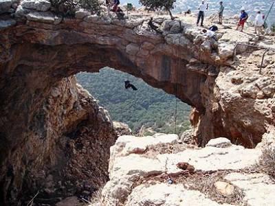 Entry 73706 in Portfolio by גיל סגלוב - קידום אתרים