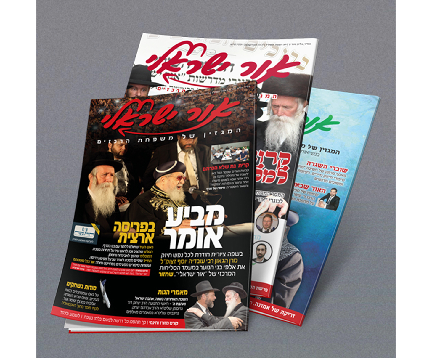 Entry 149096 in Portfolio by קווי מתאר