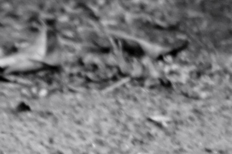 Open Zoomed Related Entry 20201013_164821.jpg