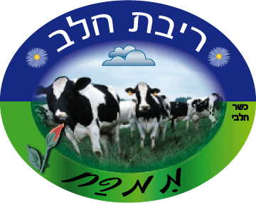 Entry 3143 in Portfolio by גרפיקה ועימוד
