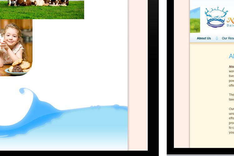 Open Zoomed Related Entry Web_NissimDairyGroup.jpg
