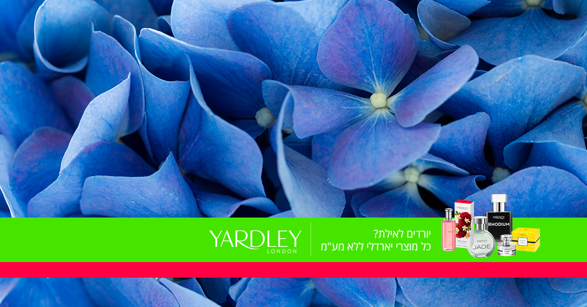 Entry 130938 in Portfolio by סטודי-אנה.