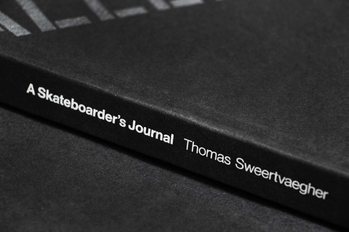 Entry 141271 in A Skateboarder&#39;s Journal (handpainted bookcovers) by DigitalMind