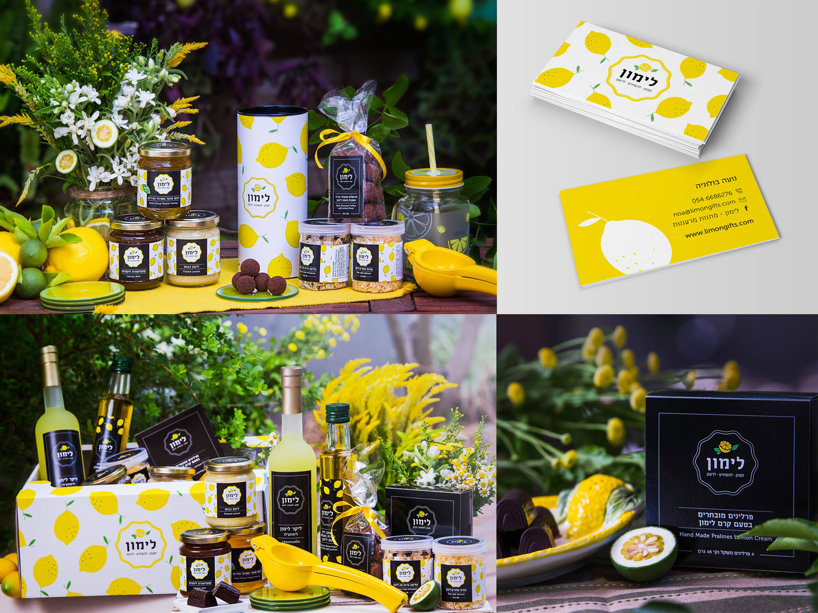 Entry 157859 in Portfolio by ORIT PELEG KAMIL