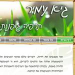 Open Zoomed Related Entry עיצוב אתרים