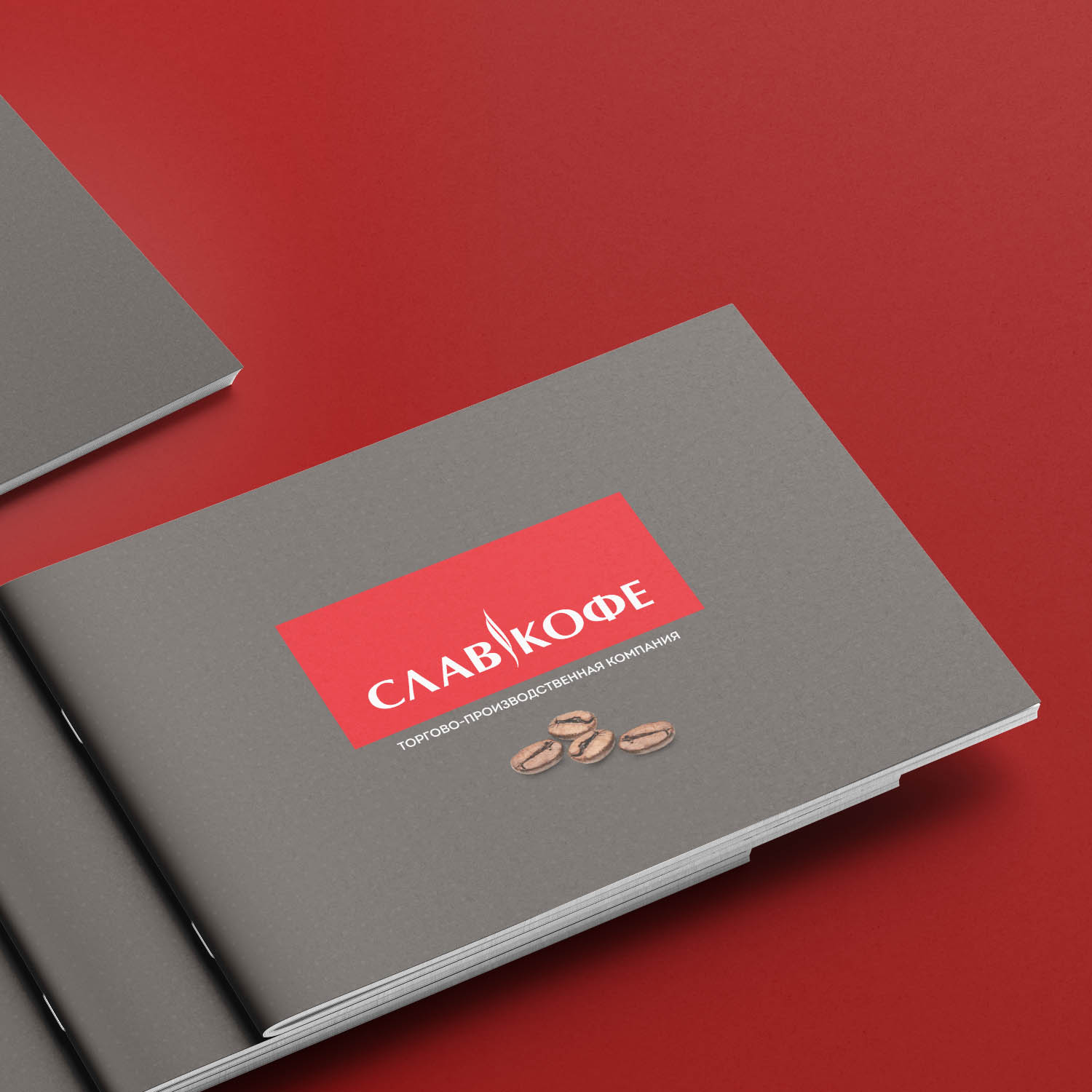 Entry 266116 in Portfolio by bgd.design