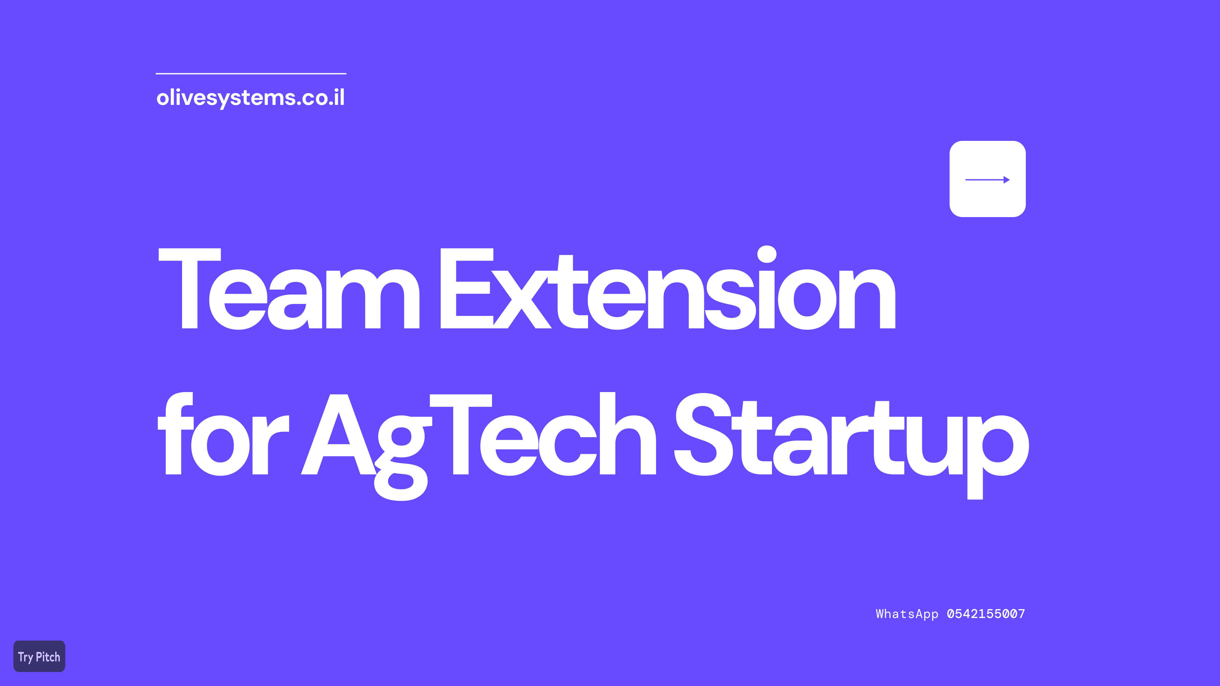 Entry 317481 in Portfolio by Olive Systems
