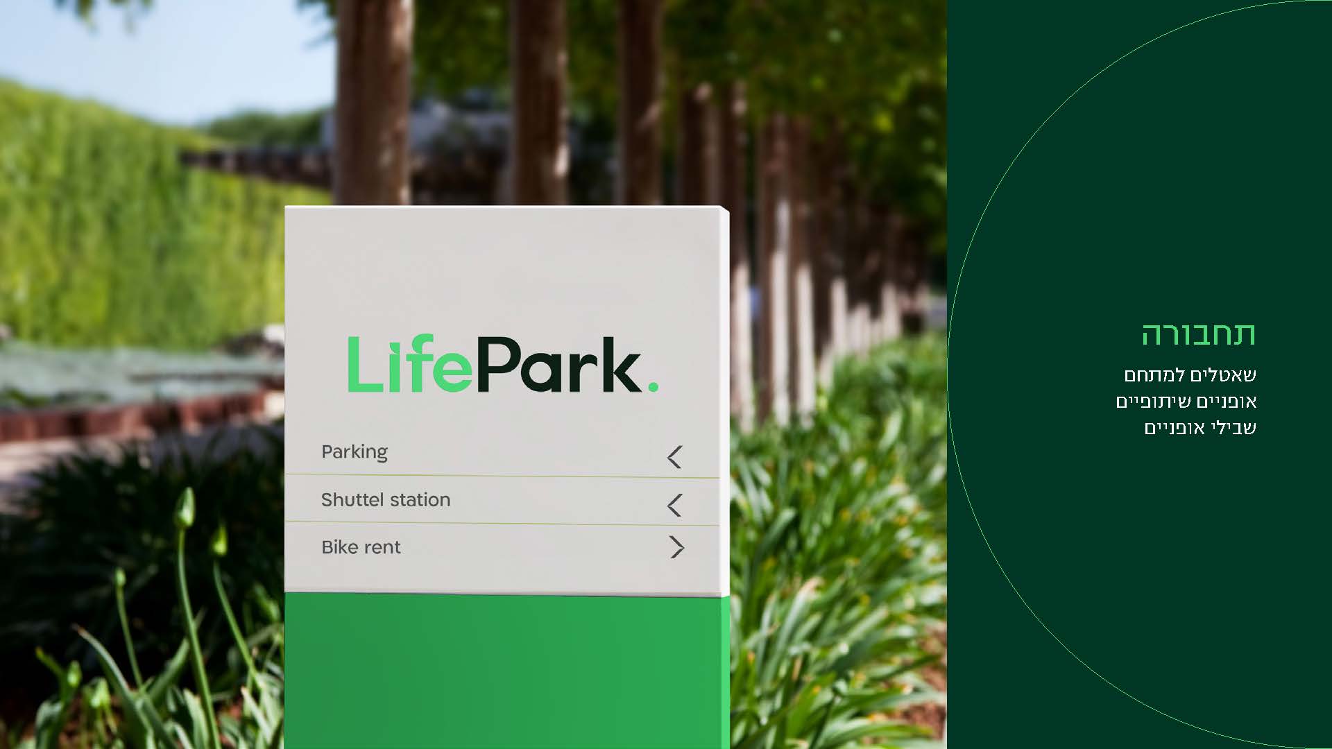 Entry 319437 in Life Park by Sara Karpovich