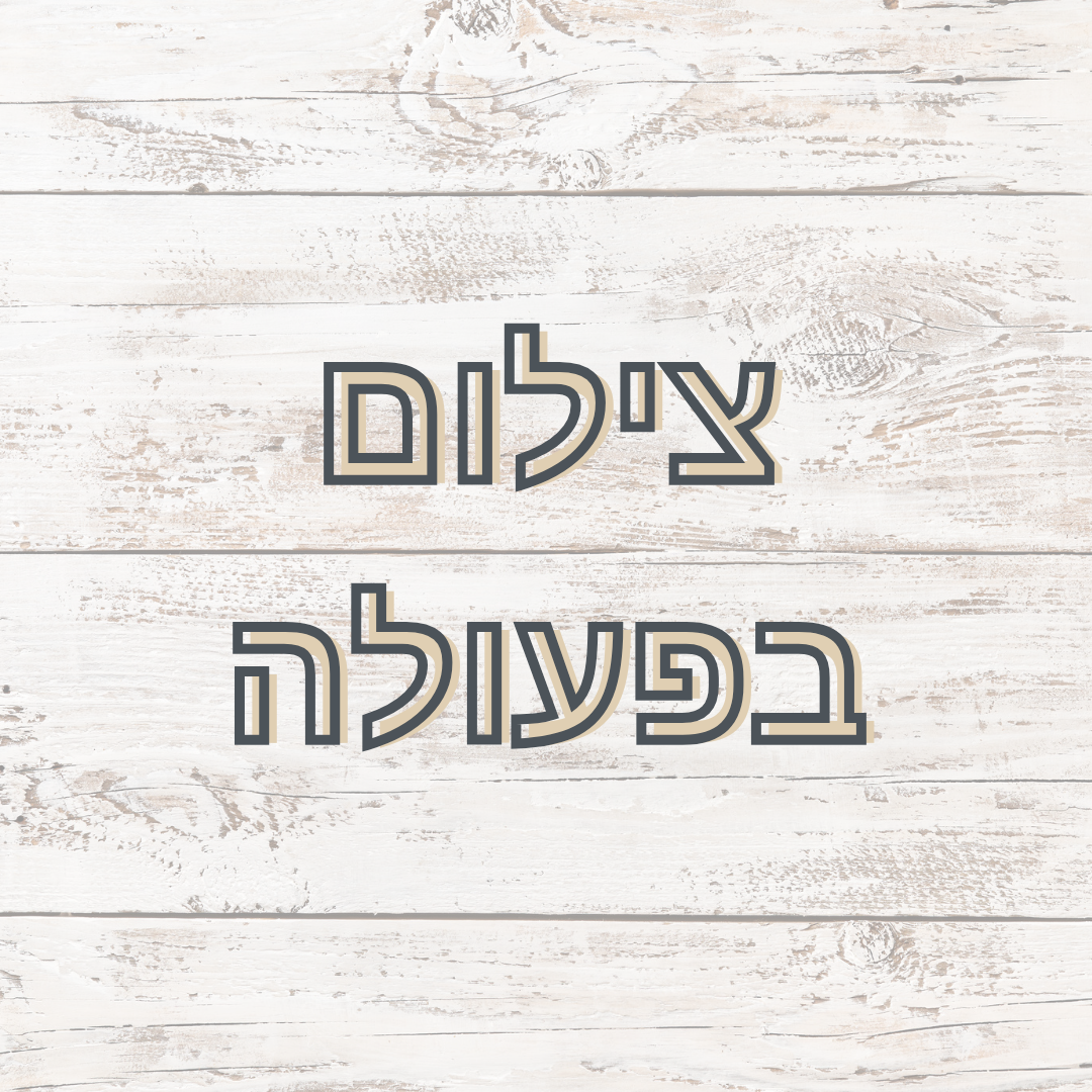 Entry 334542 in Portfolio by פוטו-שון