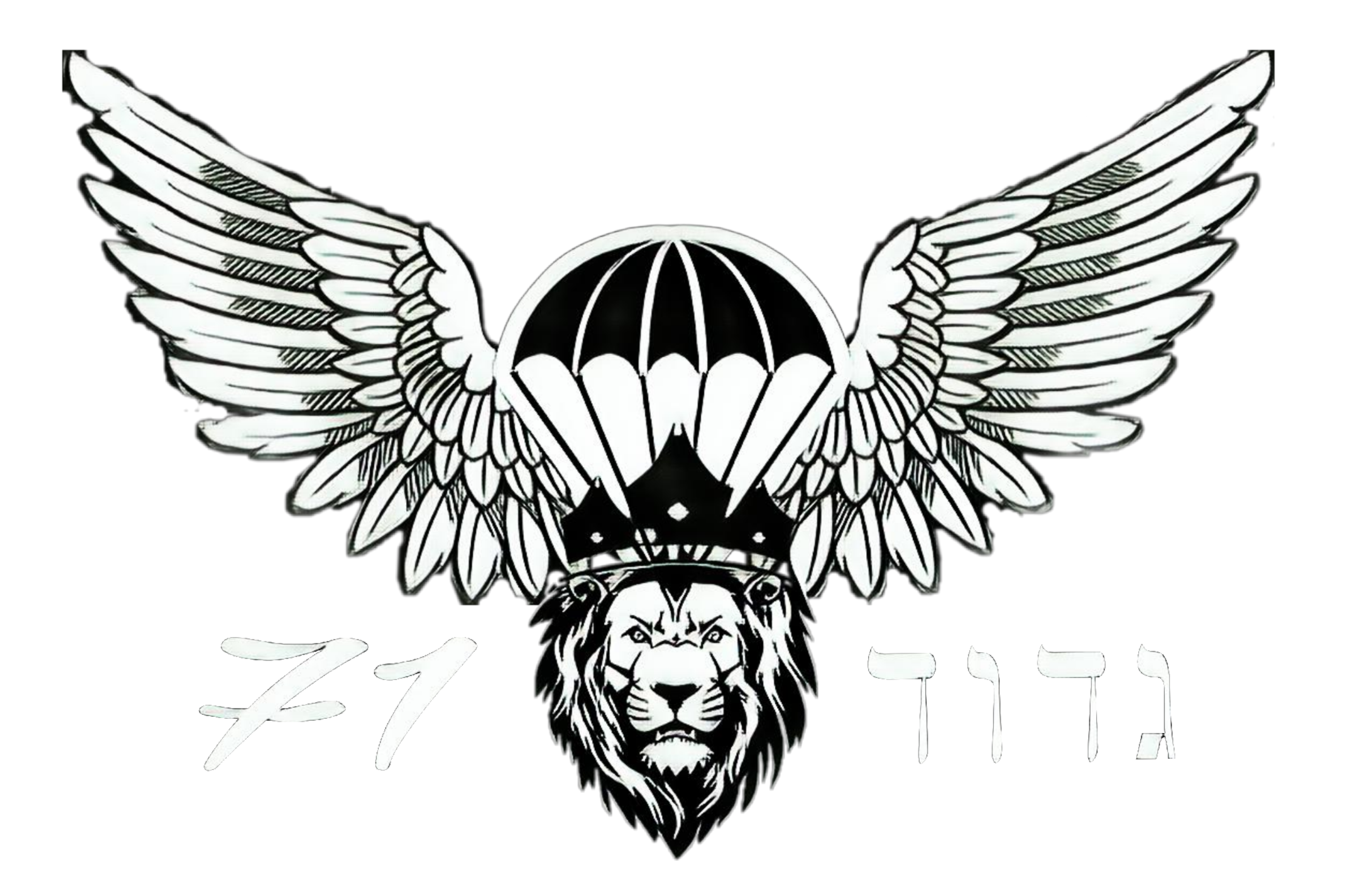 Entry 310977 in Portfolio by גל אור לעסקים