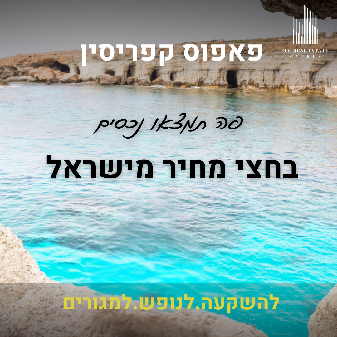 Entry 343937 in Portfolio by א.כ דיגיטל מרקטינג-O.C DIGITAL MARKETING