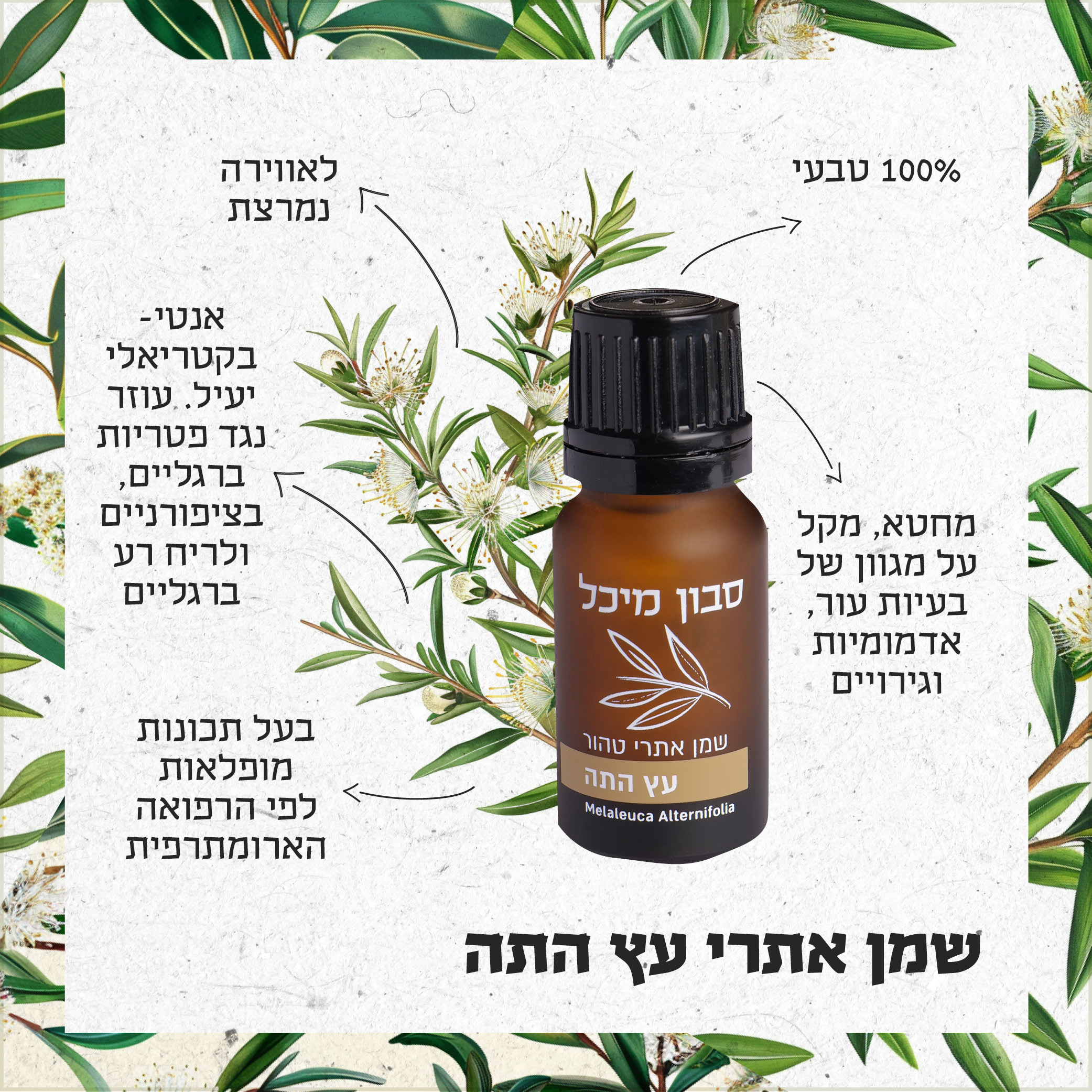 Entry 321790 in סבון מיכל by Aya Porat Sherrer