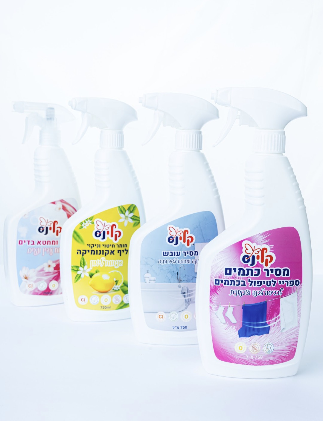 Entry 343071 in עיצוב מוצרי דפוס ואריזות by שרון לרמן בי בראנד - מיתוג ובניית אתרים