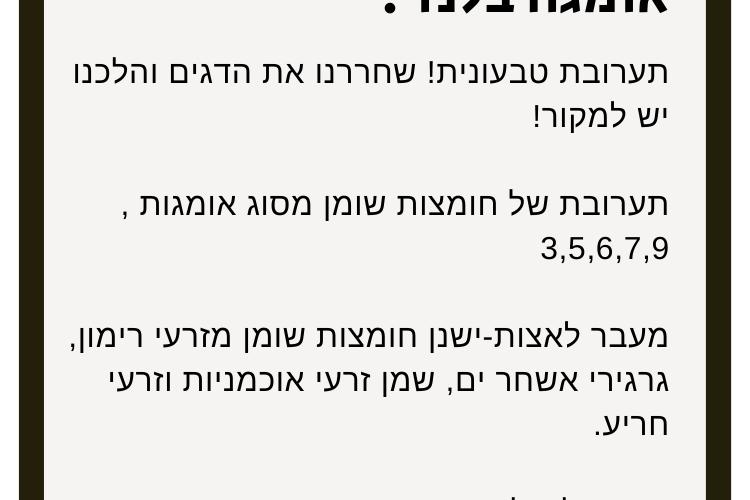Open Zoomed Related Entry אומגה עובדות.png