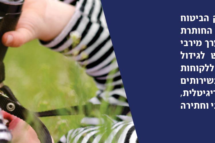 Open Zoomed Related Entry Clal2.jpg
