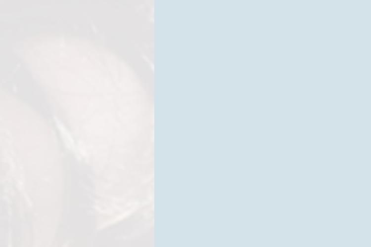 Open Zoomed Related Entry שקופית8.JPG