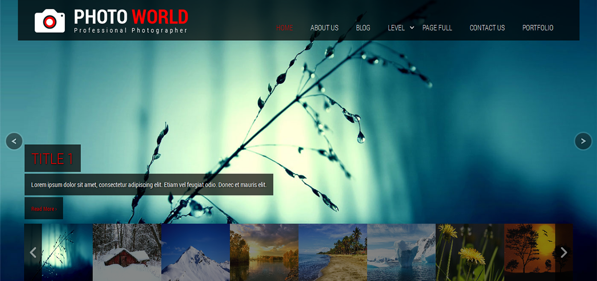 Entry 182567 in Photo World by SKT Themes