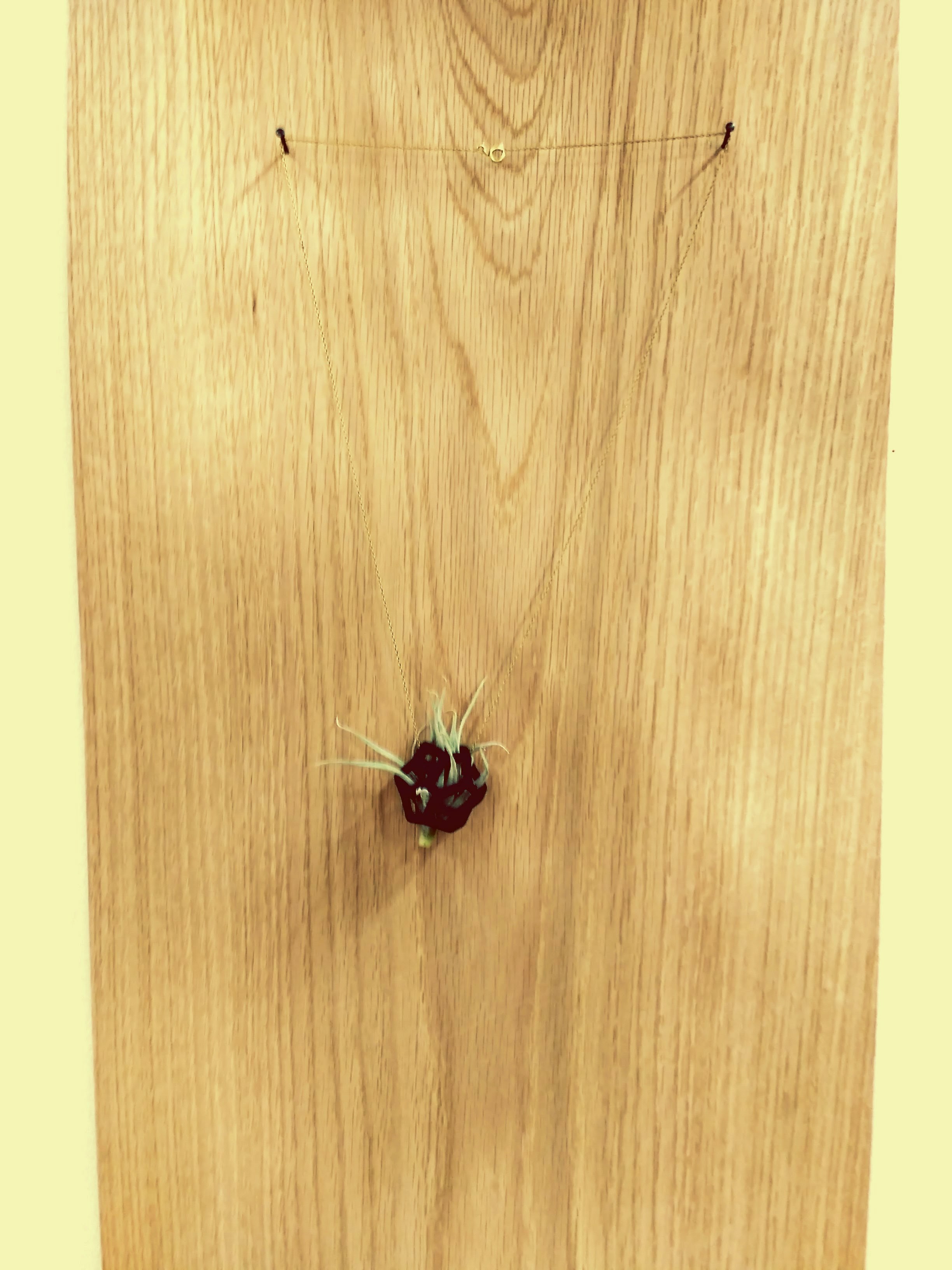 Entry 123701 in Portfolio by k.o. designe