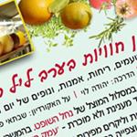 Open Zoomed Related Entry פליירים 2