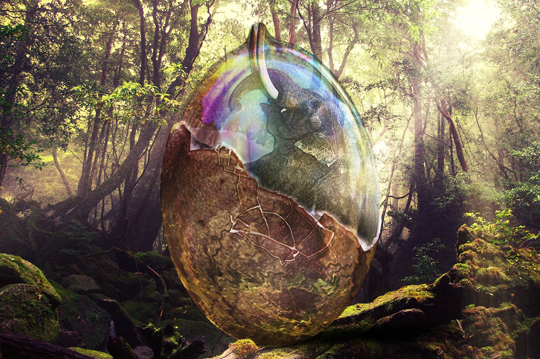 Entry 139820 in Photoshop Editing by HD Art