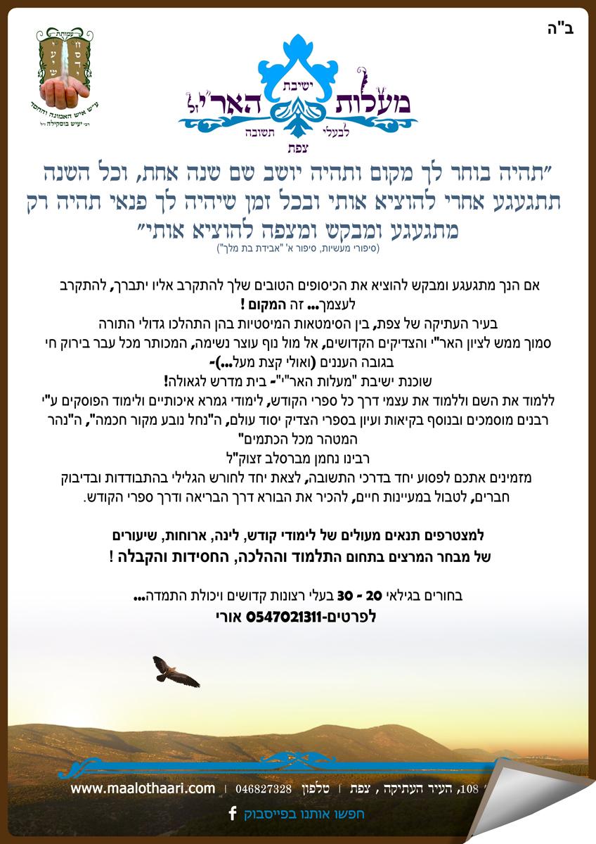 Entry 61431 in Portfolio by סטודיו קטן